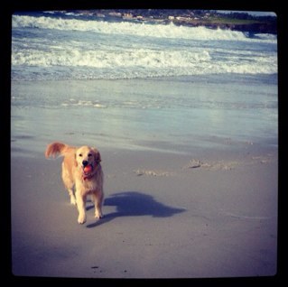 LlcLucinda's profile picture. 