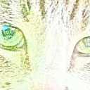 Cheryl - @CherylJoy7111 - Twitter