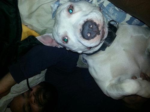 lovechild125's profile picture. 