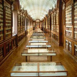 Per aiutare la Biblioteca Palatina di Parma a riaprire dopo l'incendio. To help the Palatina Library of Parma to reopen after the fire. See website / Vedi sito