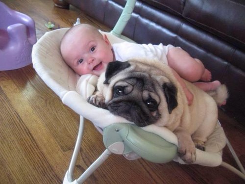 Do not ask that your kids live up to your expectations.  Let your kids be who they are, and your expectations will be in breathless pursuit.
- Robert Brault