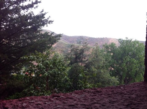 oscaruruiz's profile picture. 