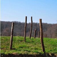 Jessie Bond (@jessienbond) 's Twitter Profile