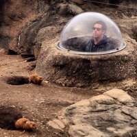 Jeff Halpin (@vanmeterdrive) 's Twitter Profile