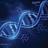 DNA Decoder
