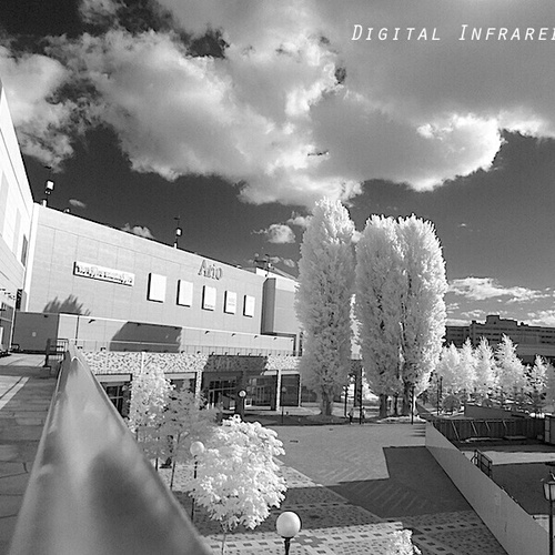 Digital_IR's profile picture. 