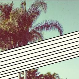 We publish flash fiction under 1,000 words and poetry of any length.