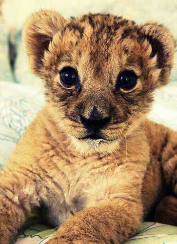 GeorgiaPeachx's profile picture. PINK & glitter. Starbucks. Blonde.