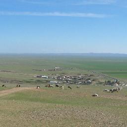 Marble55's profile picture. 