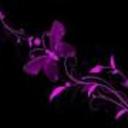 Brittney Molina - @molina_brittney - Twitter