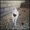 Jenny Hook - @fjhook91 - Twitter