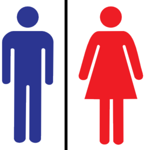 toiretcleaning's profile picture. トイレの神様のメロディすら思い出せない