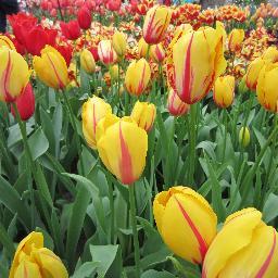 SunSmithTan's profile picture. 