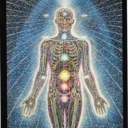 ThePowerWithin4's profile picture. Spread positive energy, awaken your inner peace/power , live life love learn, mind body and soul