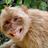 Apaanajadehgw's profile image