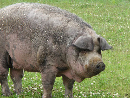 DrMoyaMoya's profile picture. 