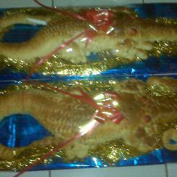 Unfor4978's profile picture. 