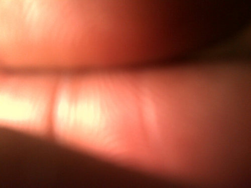 LacesOut_'s profile picture. Just a Bill on capitol hill #wreck #followback