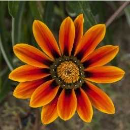 Mizzi667's profile picture. Photographer, business woman