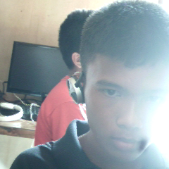 infested_angel's profile picture. 