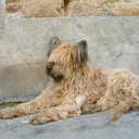 Deb Potts - @deb_potts - Twitter