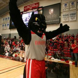 PouncerDU's profile picture. The ultimate fan at Drury.  Panther news, promotions and all things DU. http://t.co/OLlLUaxhON   #ProwlingPouncer