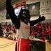 Pouncer the Panther (@pouncerdu) Twitter profile photo