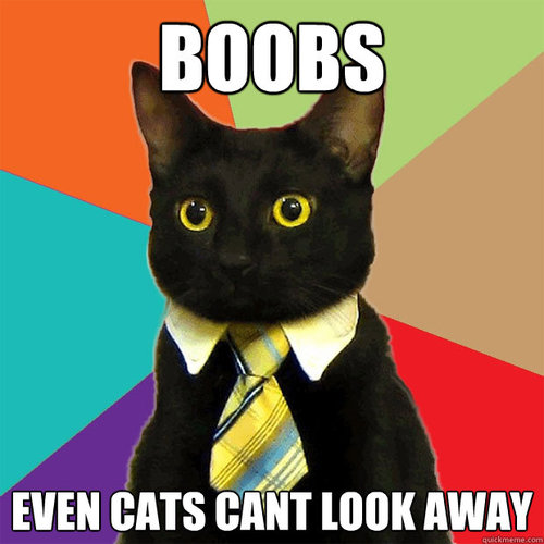 I'm Titty kitty, and I wanna see some tits.