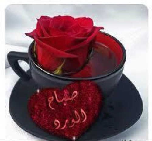 نزال ياويلي علي شوفه ... راعي  العيون الوسيعاتي 
الشعر الاشقر علي اردوفه ... من سبته شفته حسراتي