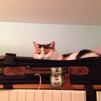 Dr. KM Griffiths (@drkgriff) 's Twitter Profile Photo