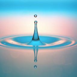 Water | H2O | Aqua | Informatiespons | Van de drup in de regen : )