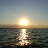 over the sea (@overthesea) 's Twitter Profile