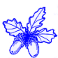 brynderiprimary (@brynderiprimary) 's Twitter Profile