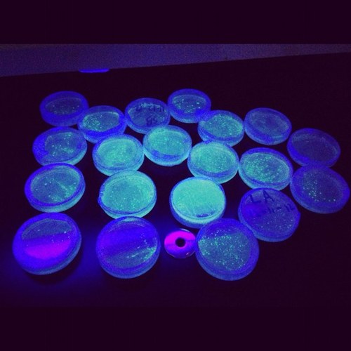 crazybioteacher's profile picture. dad, husband, educator, tri geek, geek in general