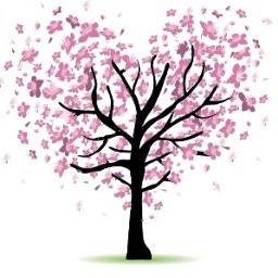 From the roots of happiness blossoms your perfect celebration - Advice from professionals wrapped in a lovely day out!