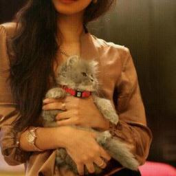 al8lbal7azin's profile picture. 