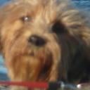 antonio crupi - @antoniocrupi1 - Twitter