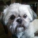 Kaley Lynn - @KaleyLynn1 - Twitter