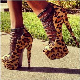 vanesssa56's profile picture. 