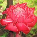 josie griffith - @msjgriffith - Twitter