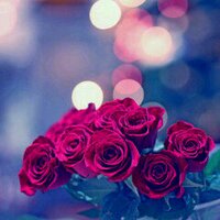 الحمدالله  (@commoooy) 's Twitter Profile Photo