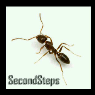 SECOND STEPS