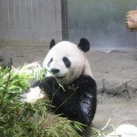 ใฟใผใ๐๏ธ(MINAKO)๐๏ธ (@mnk429) 's Twitter Profile Photo ใฟใผใ๐๏ธ(MINAKO)๐๏ธ (@mnk429) 's Twitter Profile Photo