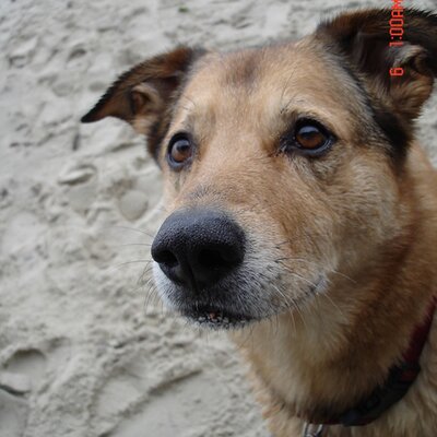 Amelie On Twitter Letzter Tag Auf Malle Heute Schoen Wars
