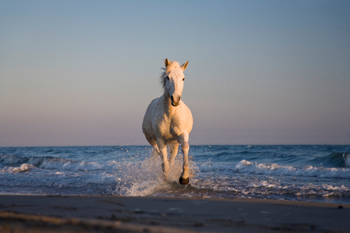 memt_12's profile picture. 