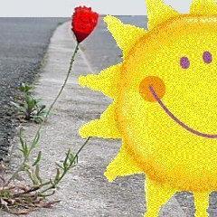 FermeUrbaine's profile picture. Jardins urbains mobiles autonomes pour tous, partout!How about having your own urban farm,for organic food?  
option-naturel@sfr.fr 
http://t.co/RW3xPXhCWt