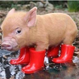 moon70's profile picture. 