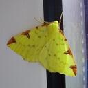 Steve Dewar - @whathahelzagoin - Twitter