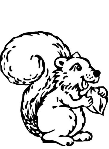 PecanShed's profile picture. Fresh pecans grown locally in our 25,000 tree orchard; homemade fudge made in our very own fudge kitchen; unique Texas gifts; locally owned and grown since 1981