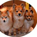 alan breslow - @ALKLB1 - Twitter